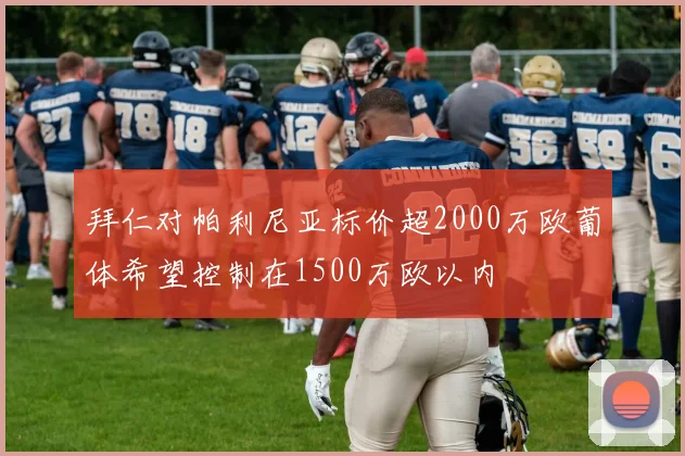 拜仁对帕利尼亚标价超2000万欧葡体希望控制在1500万欧以内