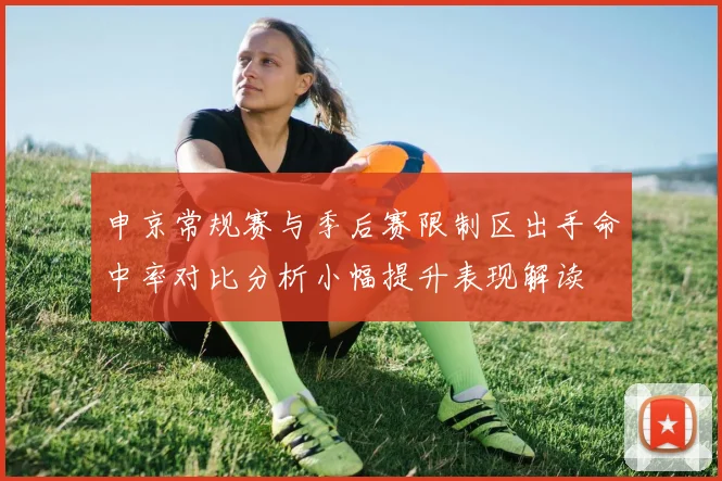 申京常规赛与季后赛限制区出手命中率对比分析小幅提升表现解读